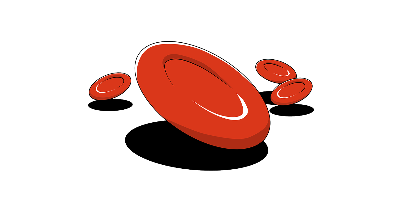 La couche CD59 disparaît à l’extérieur du globule rouge